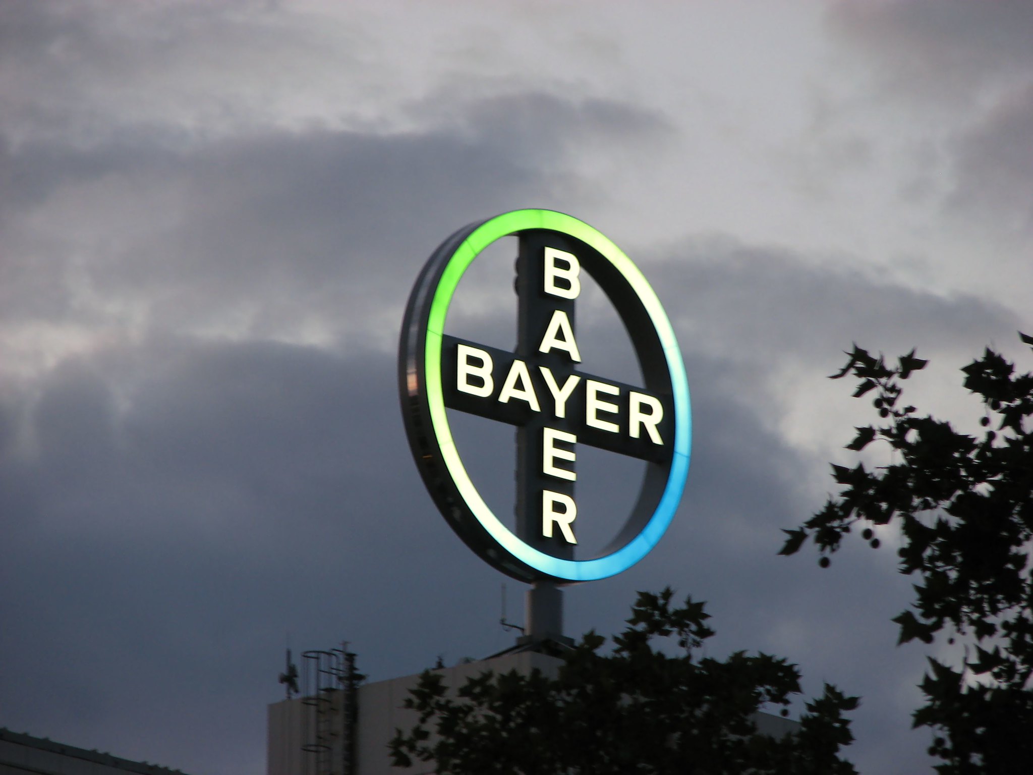 Estratégia SEO Para eCommerce: Como Geramos Leads Para Bayer!